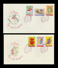 1963 Romania - 2 FDC Cultura legumelor timpurii, LP 556 foto