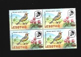 lesotho pasari mnh