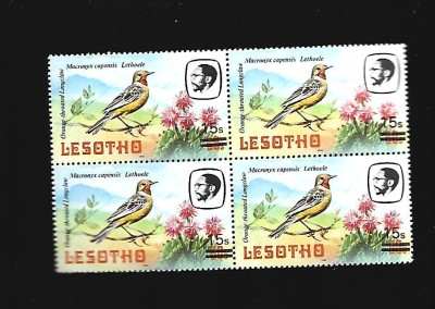 lesotho pasari mnh foto