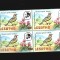 lesotho pasari mnh