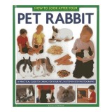 How to Look after Your Pet Rabbit