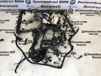 Instalatie electrica motor BMw X5 E70 X6 E71 5.0i N63 4.4 V8 de Europa foto