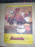 REVISTA LUMINITA , NR. 1 / 1986