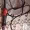 Desoutter șurubeniţă electrică