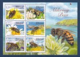 ALDERNEY 2009 FAUNA INSECTE ALBINE