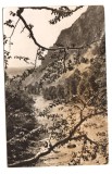 CPIB 25341 CARTE POSTALA - VALEA PUTNEI LA LEPSA, CIRCULATA, 1966, STAMPILE, TIMBRU
