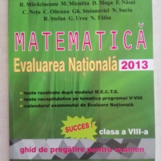 Matematica evaluare nationala 2013- D. Catana, I. Cicu