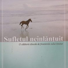 SUFLETUL NEINLANTUIT. O CALATORIE DINCOLO DE FRONTIERELE EULUI LIMITAT-MICHAEL A. SINGER