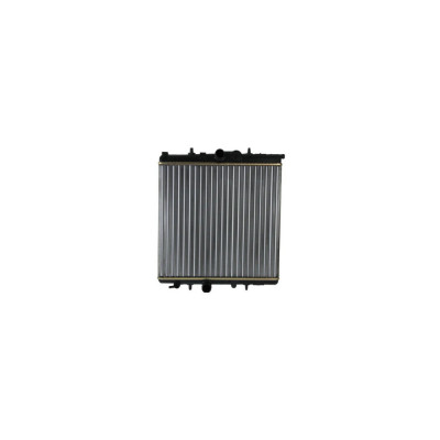 Radiator apa PEUGEOT 206+ T3E AVA Quality Cooling PE2300 foto