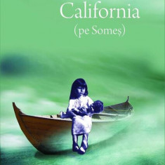 California (Pe Someş) - Paperback brosat - Ruxandra Cesereanu - Charmides