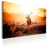 Cumpara ieftin Tablou - Deer in the Sun 120x80 cm