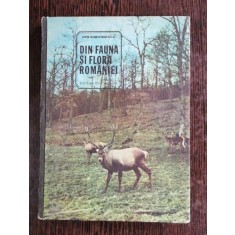 DIN FAUNA SI FLORA ROMANIEI - ION SIMIONESCU