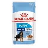 Royal Canin Maxi Puppy, Hrana umeda pentru caini juniori, plic, 140 gr