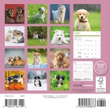 Calendar de perete 2025 - Mini - Puppies | Carousel