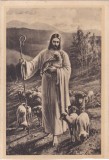 Iisus Hristos ca Bunul Pastor (necirculata)
