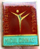 I.084 INSIGNA ROMANIA SPORT FEDERATIA ROMANA GIMNASTICA MICUL GIMNAST
