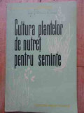 Cultura Plantelor De Nutret Pentru Seminte - P.burcea C.barbulescu ,527734