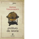 Picatura de istorie - Razvan Theodorescu