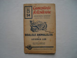 Boalele animalelor si lecuirea lor - Ion Popu-Campeanu (1944), Alta editura