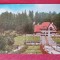 CPIB 23439 CARTE POSTALA - PREDEAL, CIRCULATA, 1968, STAMPILE, TIMBRU
