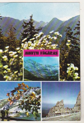 bnk cp Muntii Fagaras - Vedere - necirculata foto