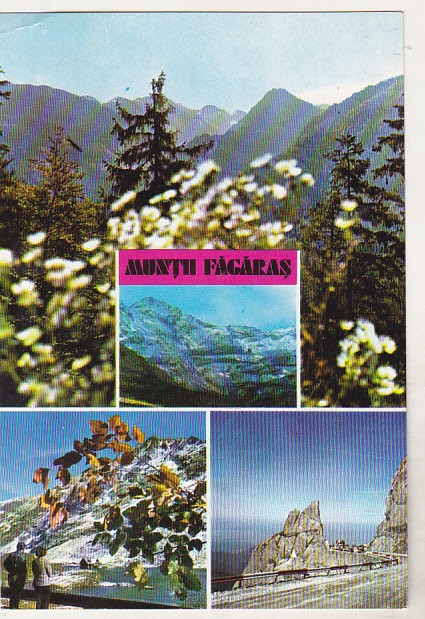bnk cp Muntii Fagaras - Vedere - necirculata