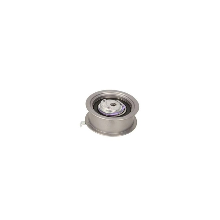 Rola Intinzator curea VW PASSAT Variant 3B5 DAYCO ATB2249