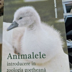 Ernst-Michael Kranich - Animalele. Introducere in zoologia goetheana