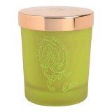 Etro, Dafne, Lum&acirc;nare parfumată, 170 g