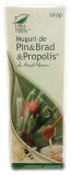 Sirop din Muguri de Pin &amp; Propolis &amp; Brad 100 mililitri Medica, Medica Farmimpex