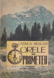 Cumpara ieftin Catinca Muscan - Orele lui Prometeu