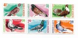 Romania - Columbofilie, 1981 - serie neobliterata