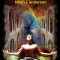 Kevin Anderson ( editor ) - Antologia NEBULA 2011