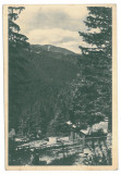 3874 - PALTINIS, Sibiu, Romania - old postcard - used - 1954, Circulata, Printata
