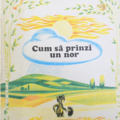 CUM SA PRINZI UN NOR de SERGHEI KOZLOV , ilustratii de ION DRAGAN , 1978 *PREZINTA URME DE UZURA