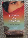 Livada din Damasc - Camille Neveux