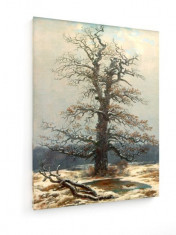 Tablou pe panza (canvas) - Caspar David Friedrich - Oak Tree in Snow - Painting... foto