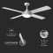 icon 6