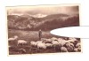 CP Valea Ialomitei - Cioban, RPR, circulata, 1952, stare buna, Printata, Prahova