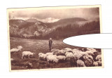 CP Valea Ialomitei - Cioban, RPR, circulata, 1952, stare buna, Printata, Prahova