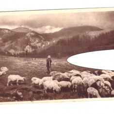 CP Valea Ialomitei - Cioban, RPR, circulata, 1952, stare buna