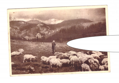 CP Valea Ialomitei - Cioban, RPR, circulata, 1952, stare buna foto