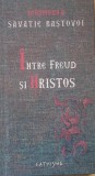 Intre Freud si Hristos - Savatie Bastovei, 2008