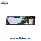 Tastatura gaming mecanica bluetooth/cu fir Redragon Wyvern, Iluminare RGB, Switch-uri liniare Mint Mambo, display oLED 1.41 inch customizabil, Negru/A