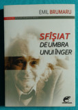 Emil Brumaru &ndash; Sfisiat de umbra unui inger ( antologie )