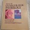 Atlas of gynecologic pathology J. D.Woodruff T. Parmley