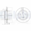 DELPHI BG3938 Disc frana