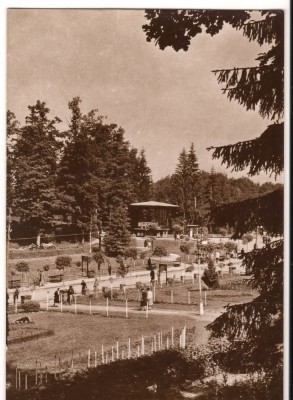 CPI B13808 CARTE POSTALA - SOVATA, VEDERE DIN PARC, RPR foto