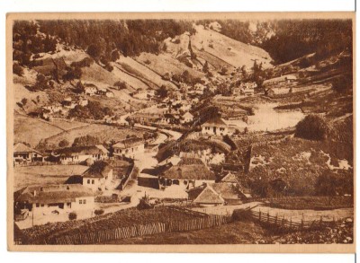 CPIB 17542 CARTE POSTALA - CARACAL. PARCUL, RPR, LIBRARIA NOASTRA foto