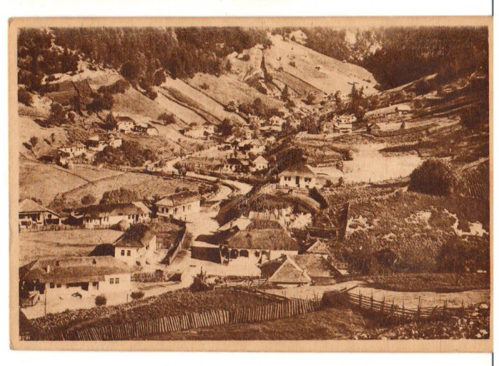 CPIB 17542 CARTE POSTALA - CARACAL. PARCUL, RPR, LIBRARIA NOASTRA